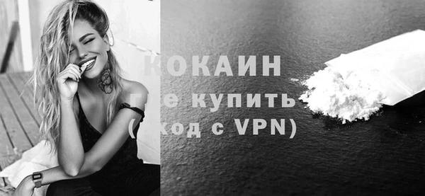 ГАЛЛЮЦИНОГЕННЫЕ ГРИБЫ Гусев