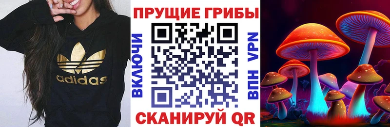Псилоцибиновые грибы прущие грибы  сколько стоит  Лесозаводск 