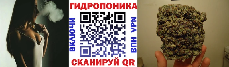 Конопля марихуана дарк нет наркотические препараты Лесозаводск